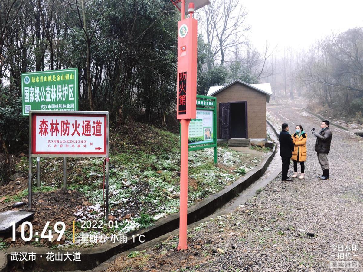 武漢織密森林“防火網(wǎng)”！千余護(hù)林員每日巡查 智能攝像頭監(jiān)控90萬畝生態(tài)林