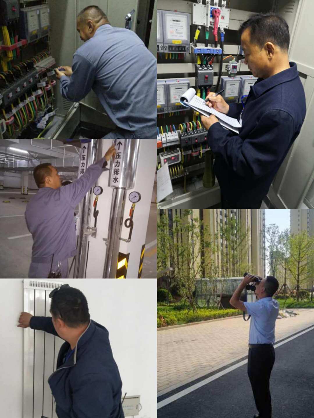 it技術(shù)宅技術(shù)_it技術(shù)團(tuán)隊(duì)工作氛圍_it技術(shù)員